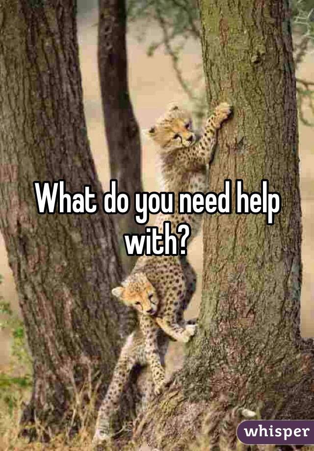 What do you need help with?