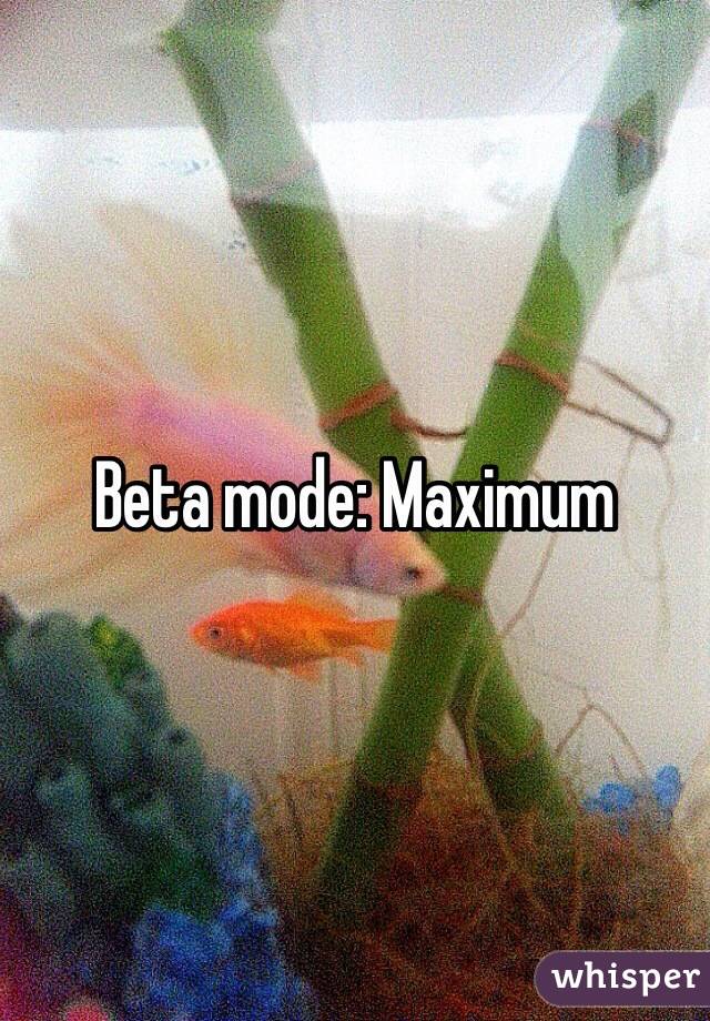 Beta mode: Maximum
