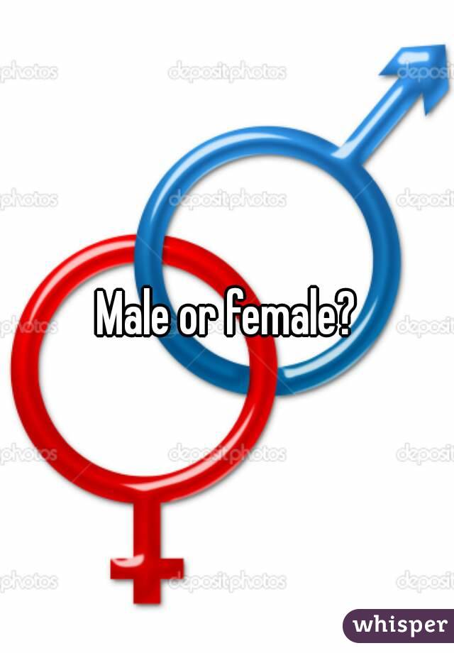 Male or female?