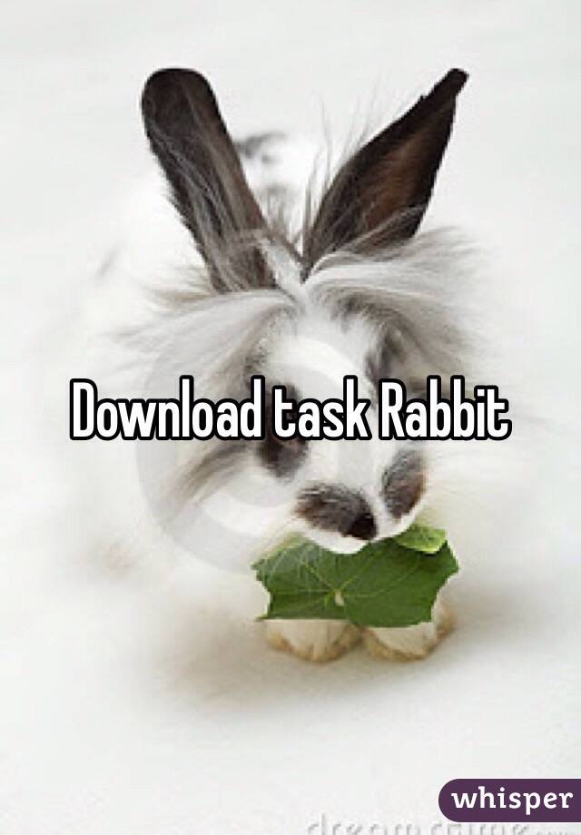 Download task Rabbit 