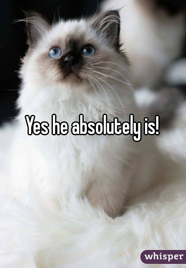 Yes he absolutely is!