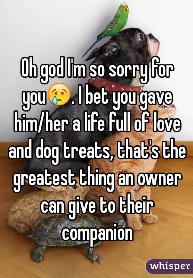 Oh god I'm so sorry for you😢. I bet you gave him/her a life full of love and dog treats, that's the greatest thing an owner can give to their companion