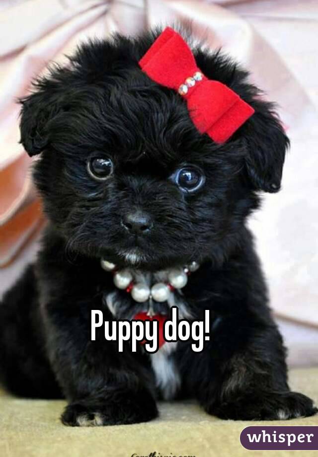 Puppy dog!