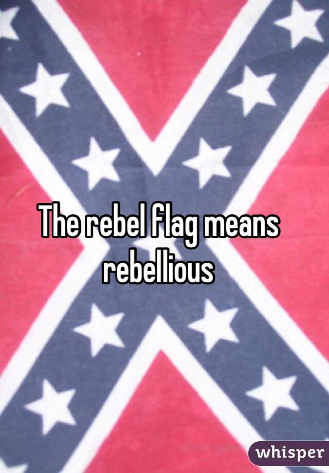 The rebel flag means rebellious  