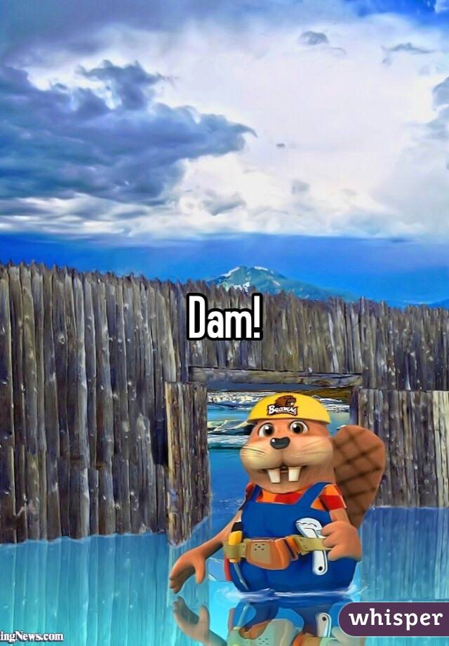 Dam!