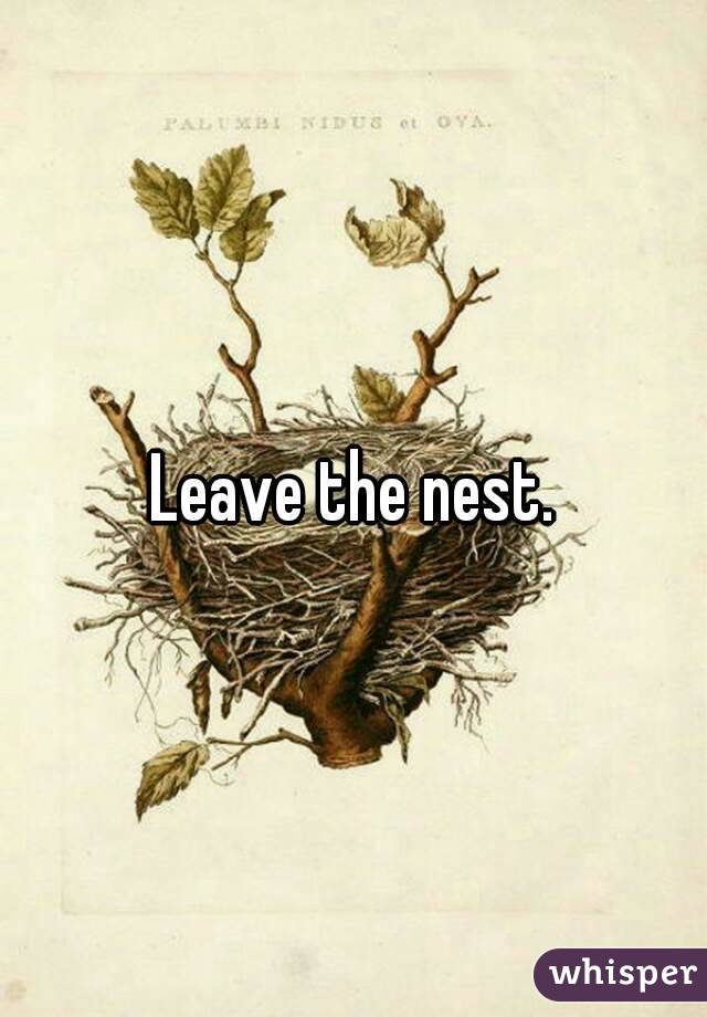 Leave the nest.