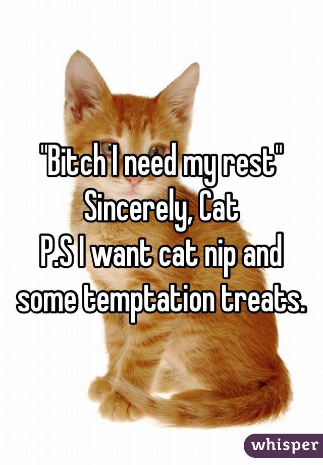 "Bitch I need my rest" 
Sincerely, Cat 
P.S I want cat nip and some temptation treats.