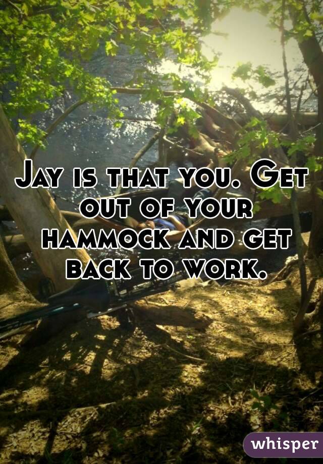 Jay is that you. Get out of your hammock and get back to work.
