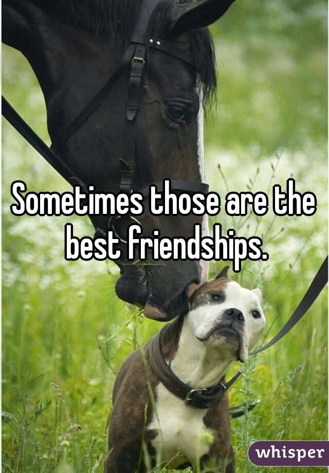 Sometimes those are the best friendships.