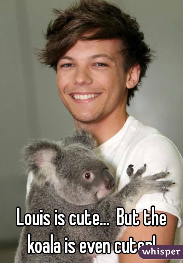 Louis is cute...  But the koala is even cuter! 