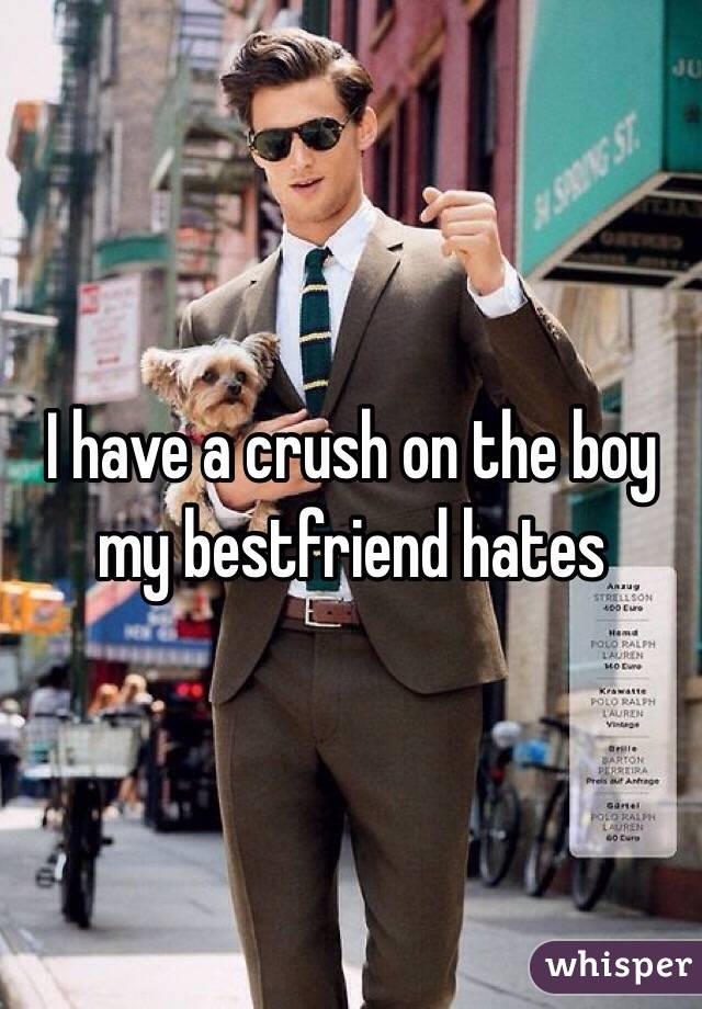 I have a crush on the boy my bestfriend hates 