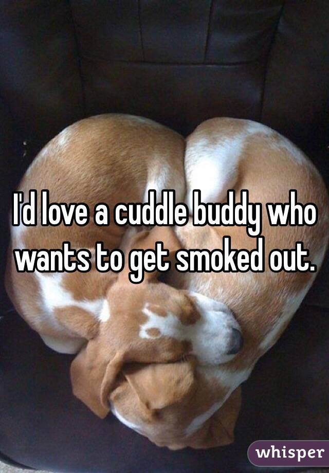 I'd love a cuddle buddy who wants to get smoked out. 
