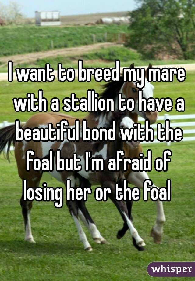 I want to breed my mare with a stallion to have a beautiful bond with the foal but I'm afraid of losing her or the foal 