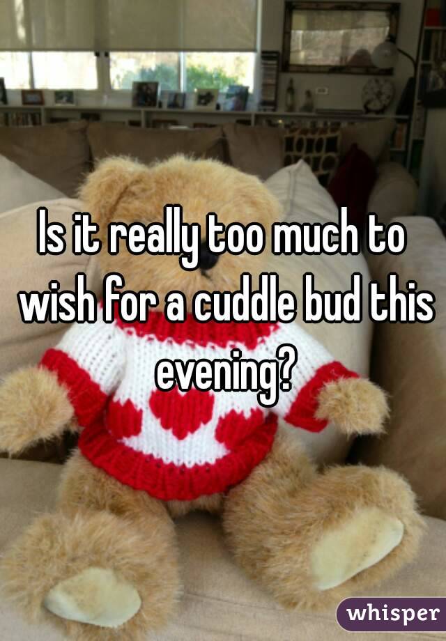 Is it really too much to wish for a cuddle bud this evening?