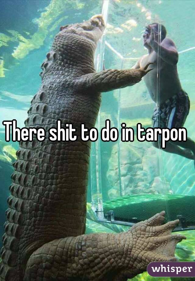 There shit to do in tarpon 