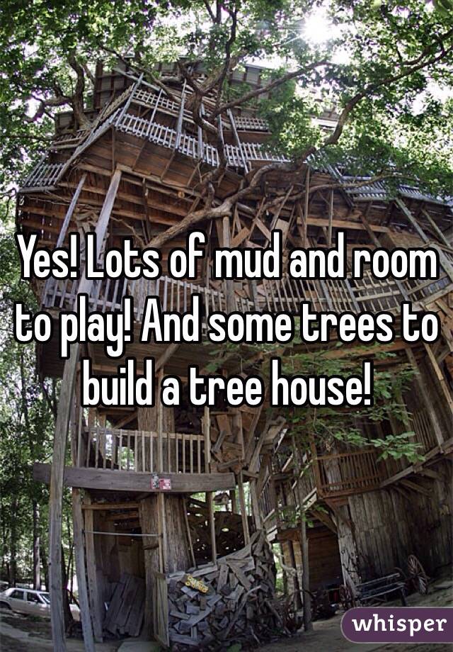 Yes! Lots of mud and room to play! And some trees to build a tree house! 