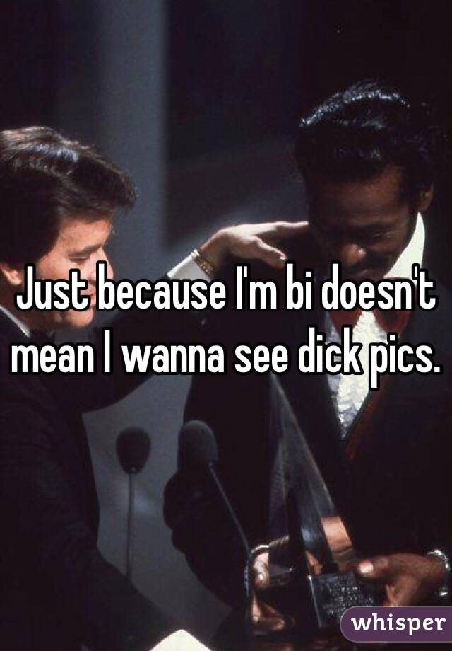 Just because I'm bi doesn't mean I wanna see dick pics. 