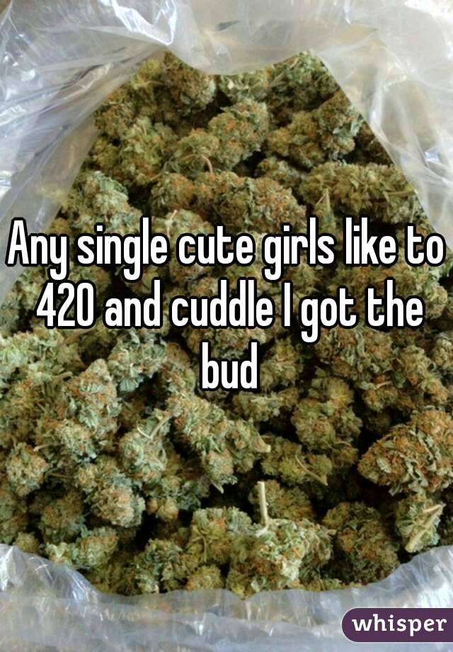Any single cute girls like to 420 and cuddle I got the bud