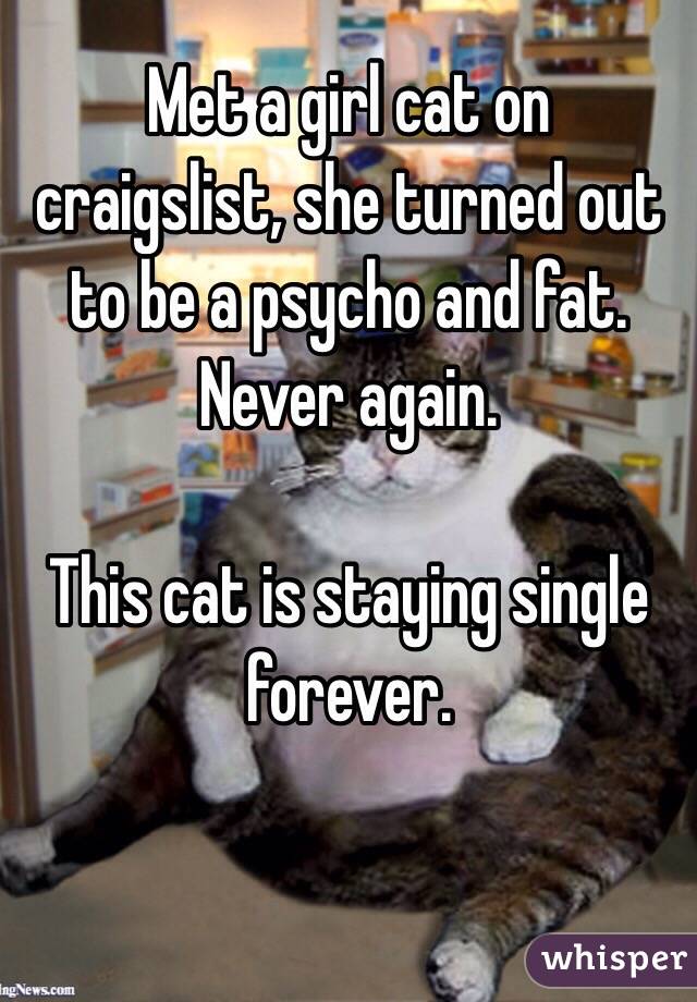 Met a girl cat on craigslist, she turned out to be a psycho and fat. Never again.

This cat is staying single forever.


