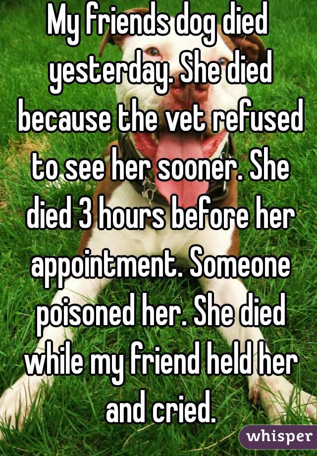 My friends dog died yesterday. She died because the vet refused to see her sooner. She died 3 hours before her appointment. Someone poisoned her. She died while my friend held her and cried.