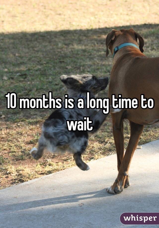 10 months is a long time to wait