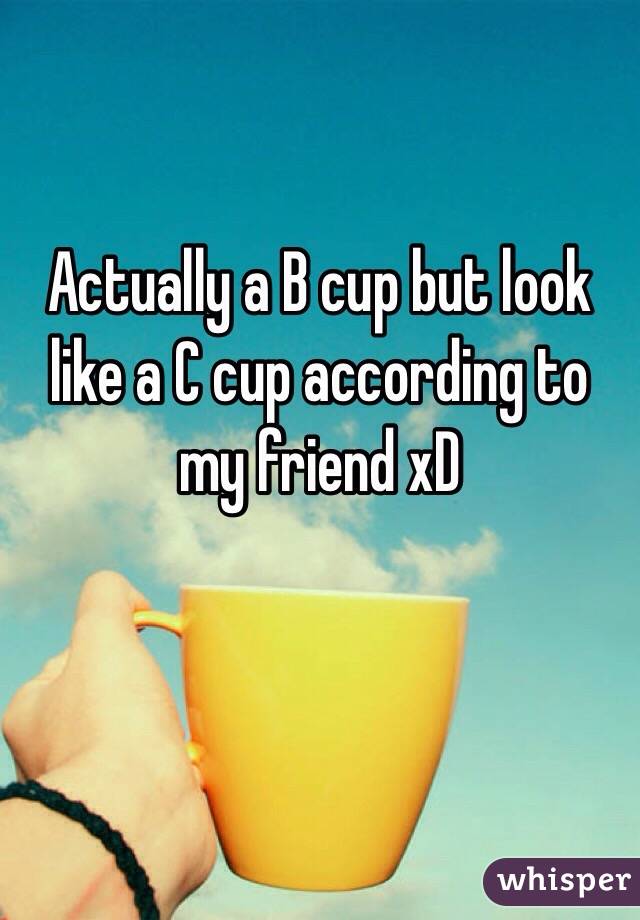 Actually a B cup but look like a C cup according to my friend xD 