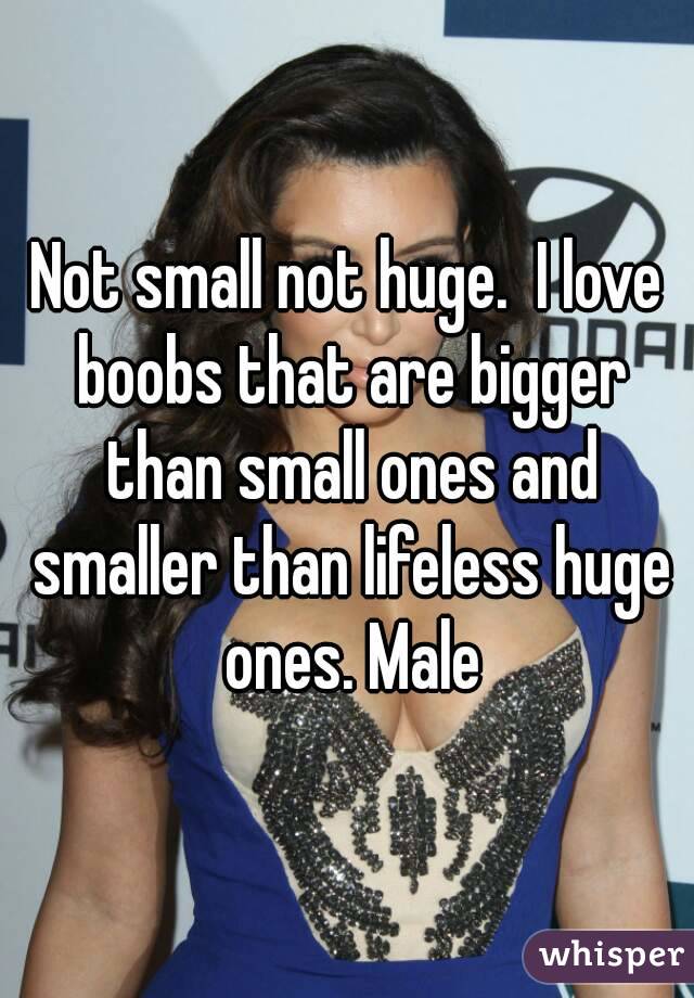 Not small not huge.  I love boobs that are bigger than small ones and smaller than lifeless huge ones. Male