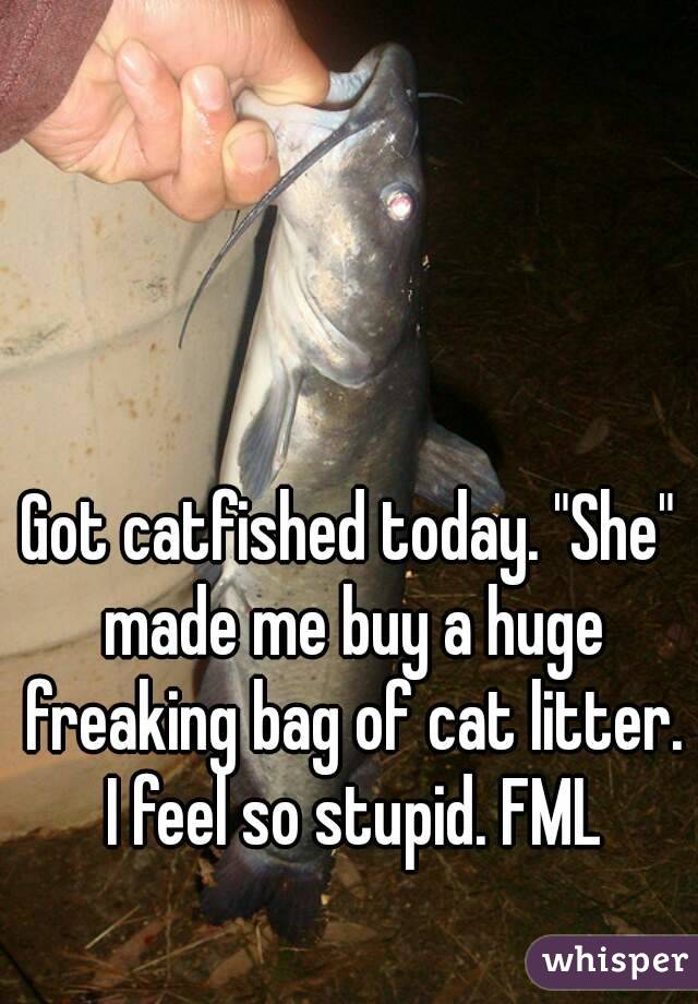 Got catfished today. "She" made me buy a huge freaking bag of cat litter. I feel so stupid. FML