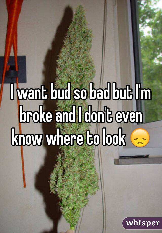 I want bud so bad but I'm broke and I don't even know where to look 😞