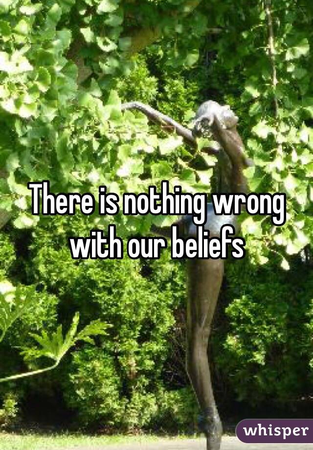 There is nothing wrong with our beliefs 