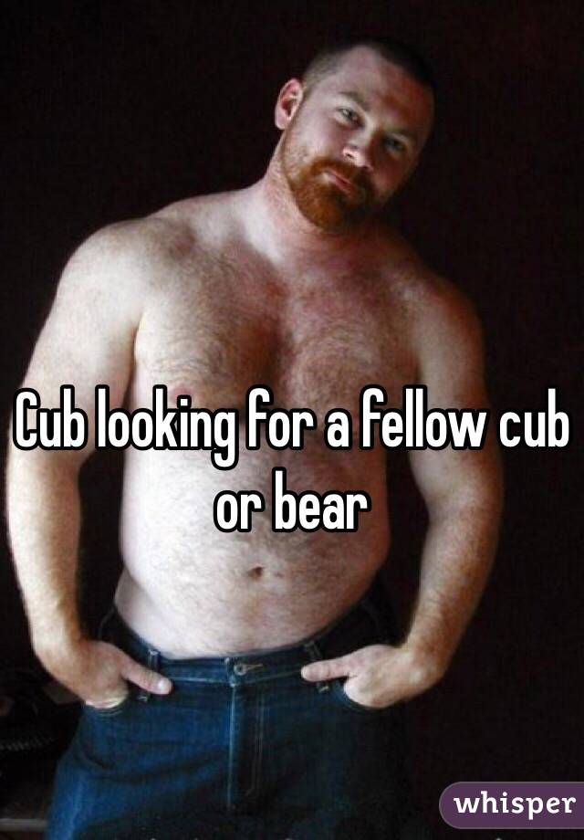 Cub looking for a fellow cub or bear