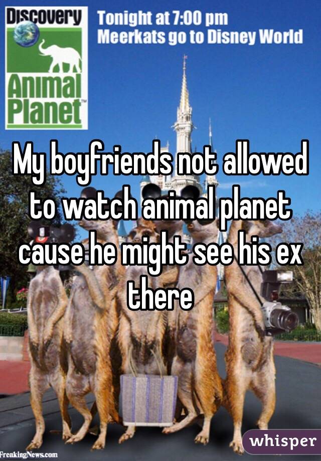 My boyfriends not allowed to watch animal planet cause he might see his ex there