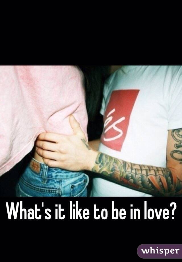What's it like to be in love? 