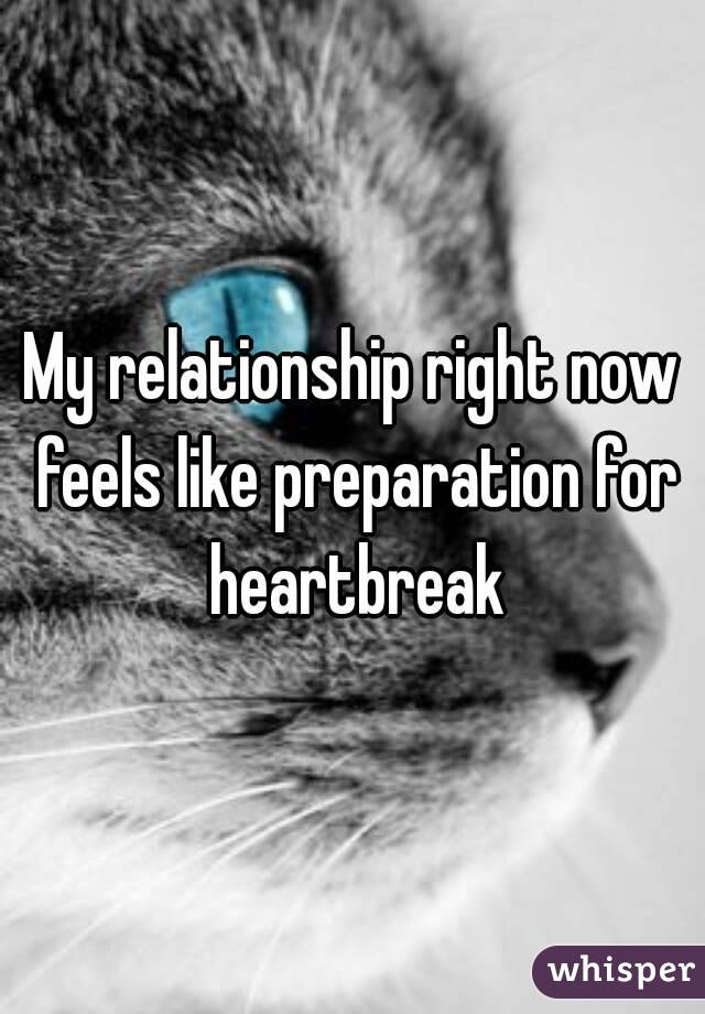 My relationship right now feels like preparation for heartbreak
