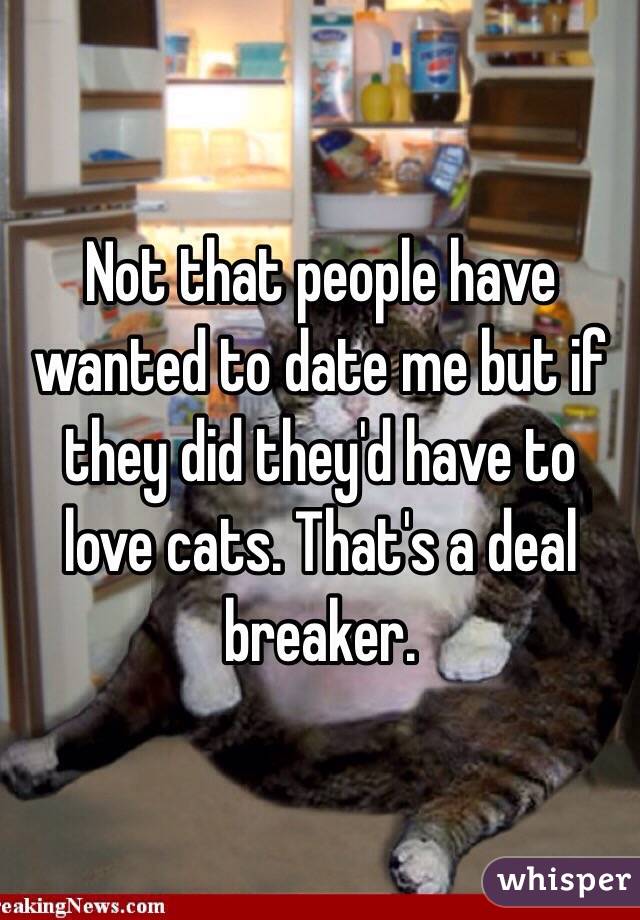 Not that people have wanted to date me but if they did they'd have to love cats. That's a deal breaker.  