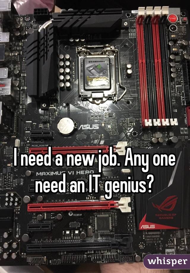 I need a new job. Any one need an IT genius? 