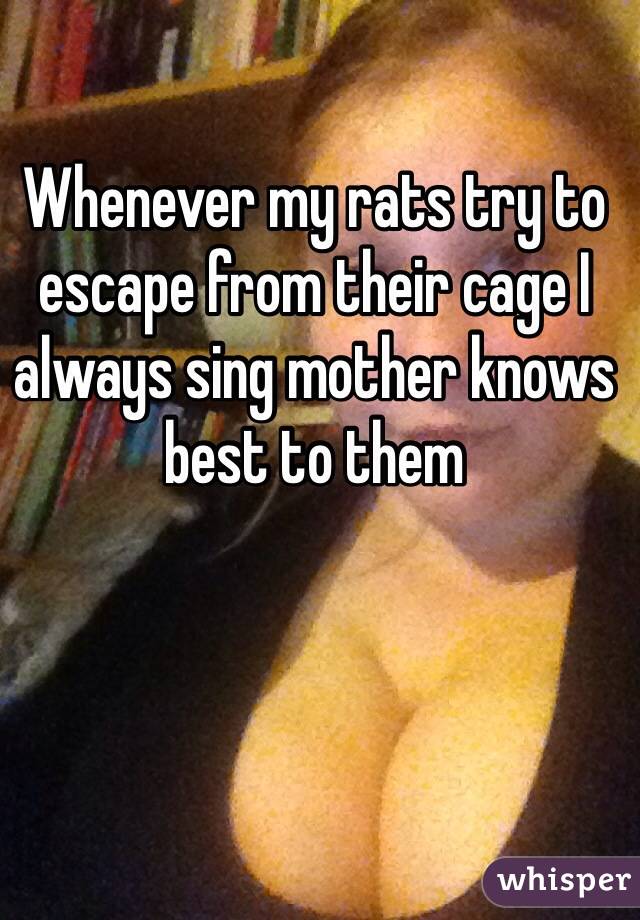 Whenever my rats try to escape from their cage I always sing mother knows best to them