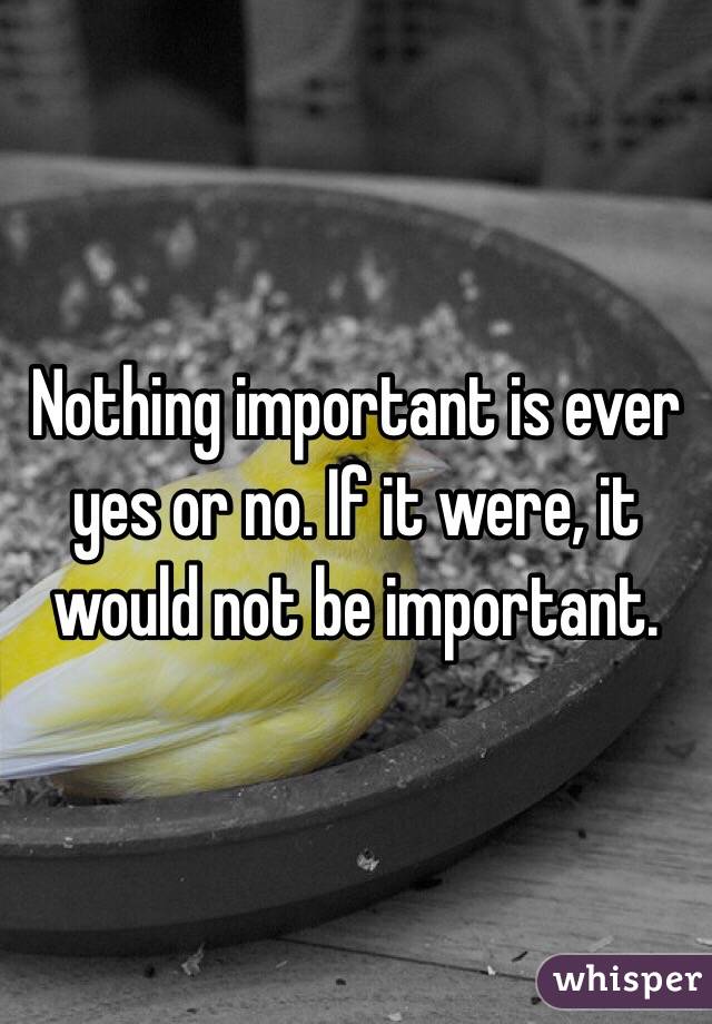 Nothing important is ever yes or no. If it were, it would not be important.