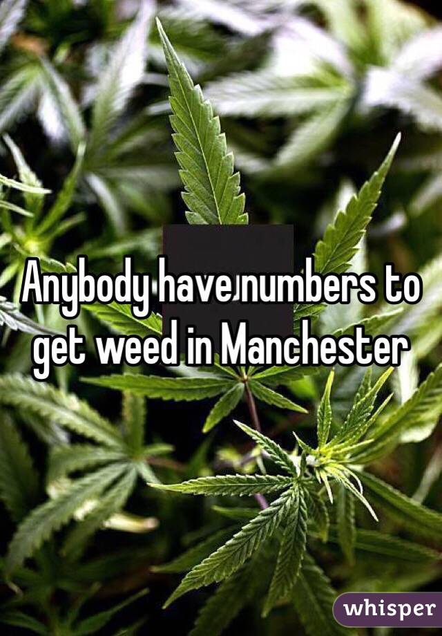 Anybody have numbers to get weed in Manchester 