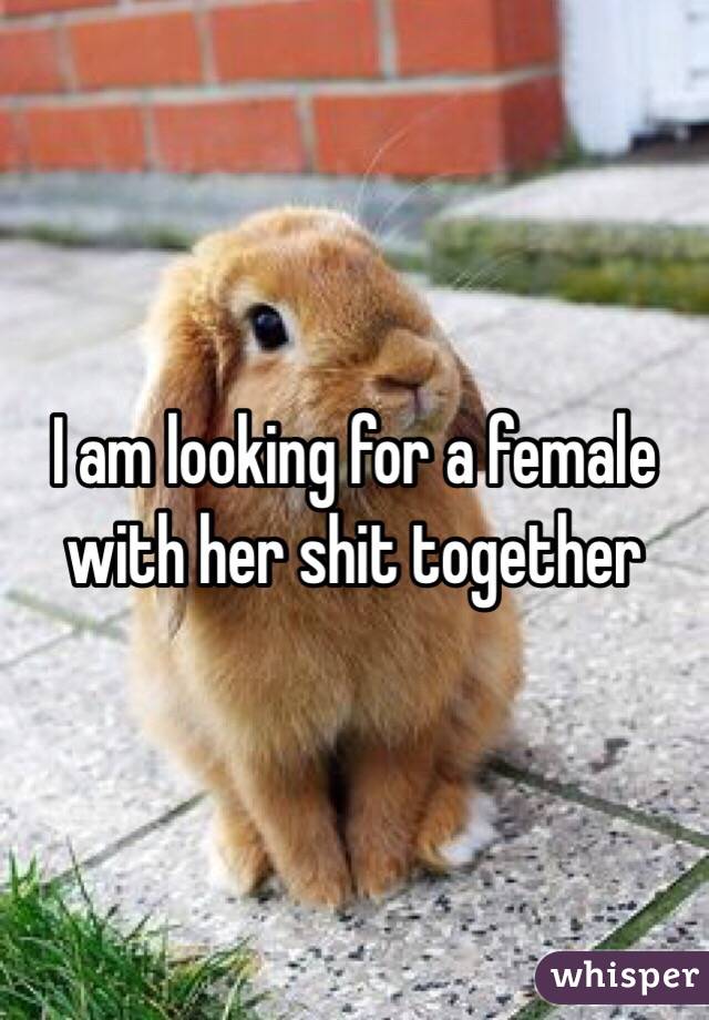 I am looking for a female with her shit together 