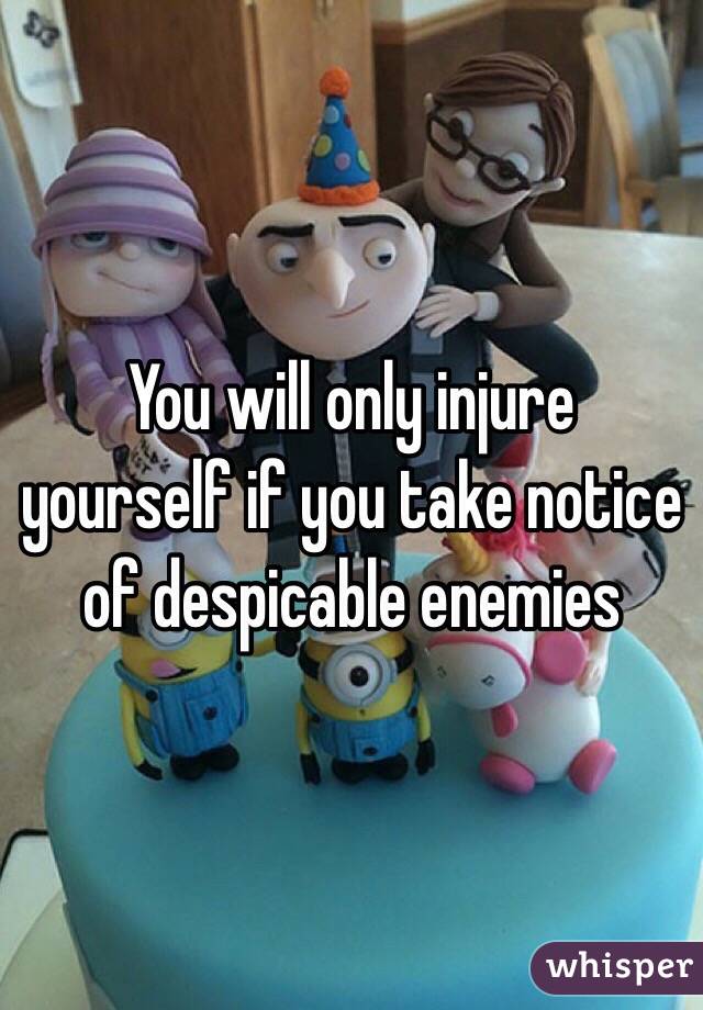 You will only injure yourself if you take notice of despicable enemies