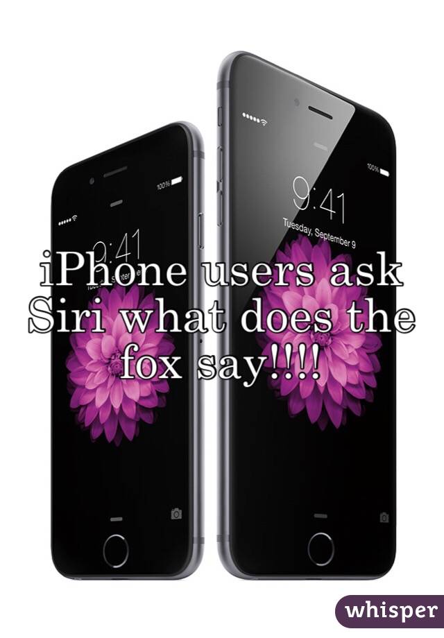 iPhone users ask Siri what does the fox say!!!! 