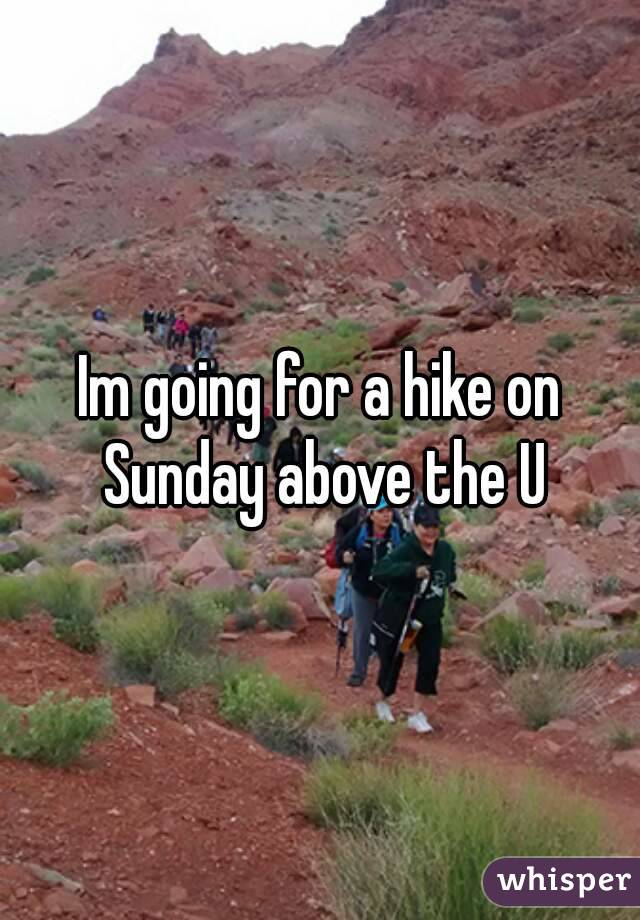 Im going for a hike on Sunday above the U