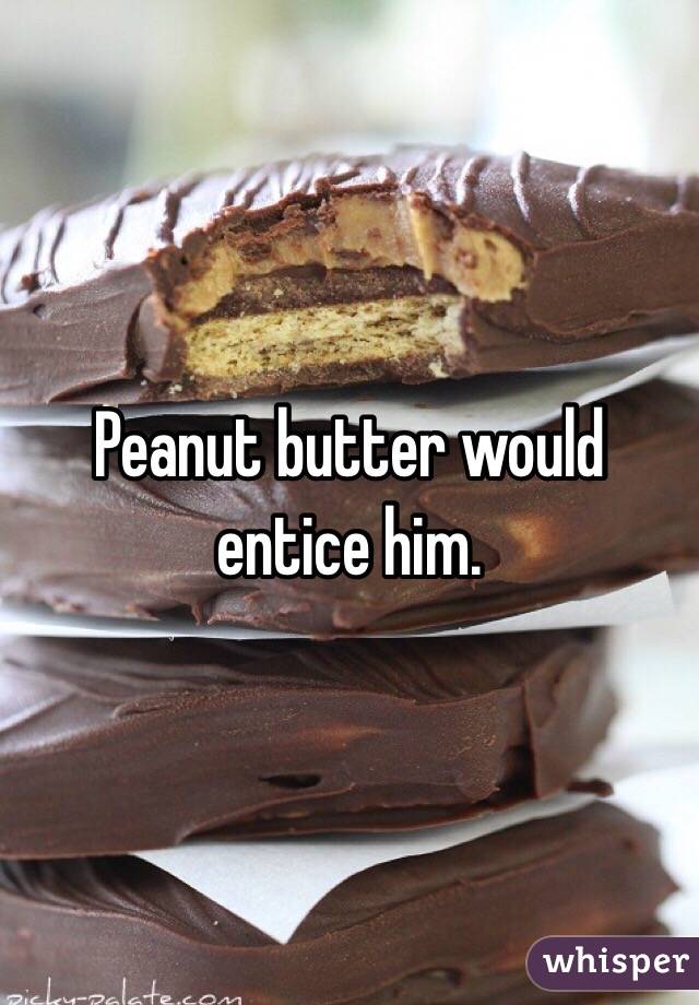 Peanut butter would entice him.
