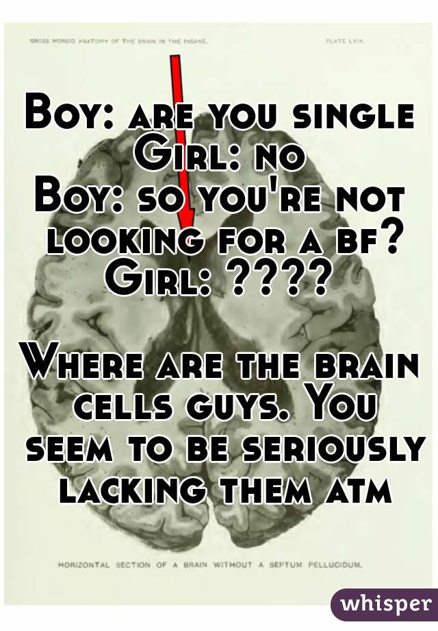 Boy: are you single
Girl: no
Boy: so you're not looking for a bf?
Girl: ????

Where are the brain cells guys. You seem to be seriously lacking them atm