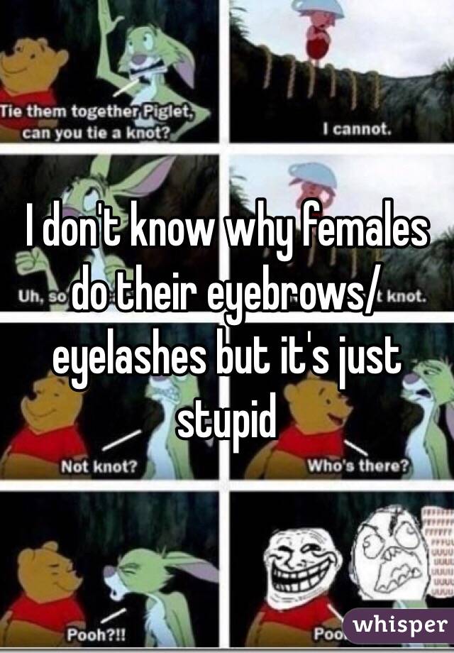 I don't know why females do their eyebrows/eyelashes but it's just stupid 