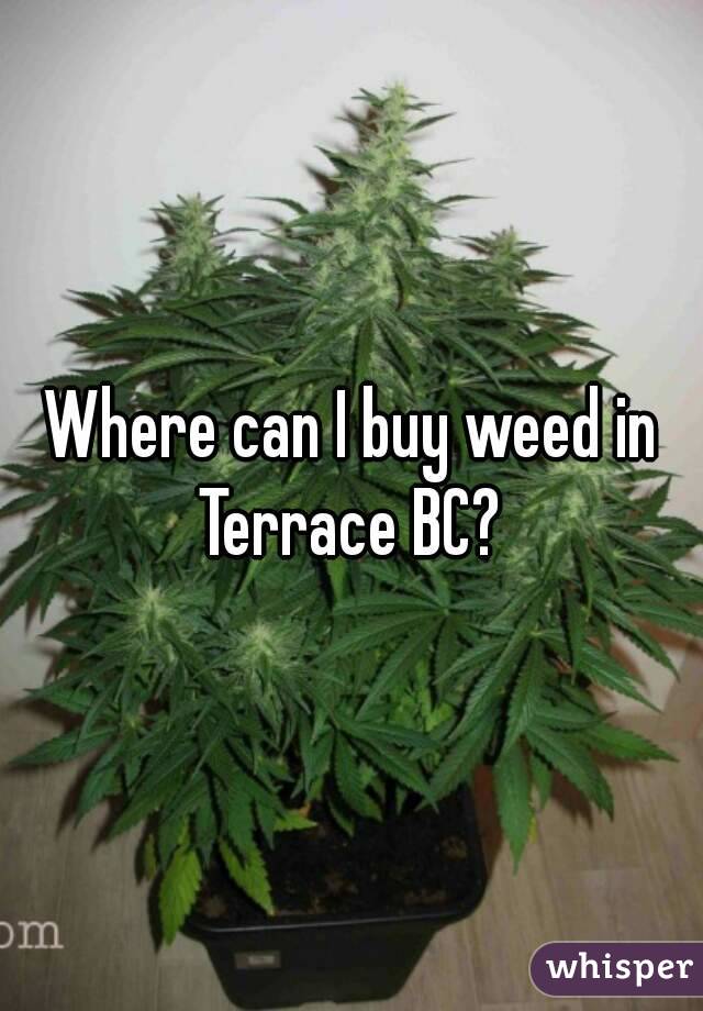Where can I buy weed in Terrace BC? 