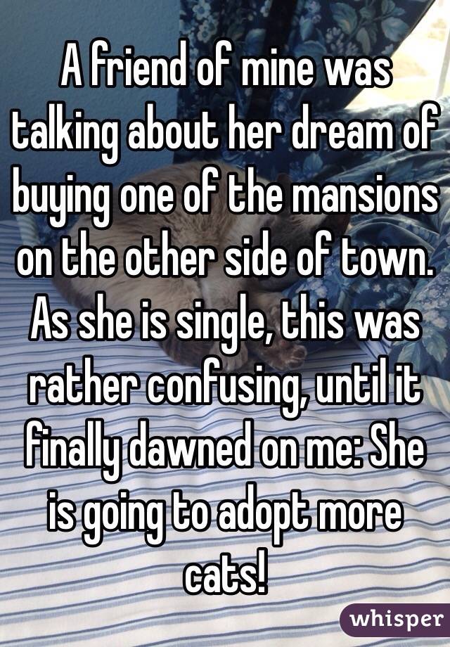 A friend of mine was talking about her dream of buying one of the mansions on the other side of town.  As she is single, this was rather confusing, until it finally dawned on me: She is going to adopt more cats!