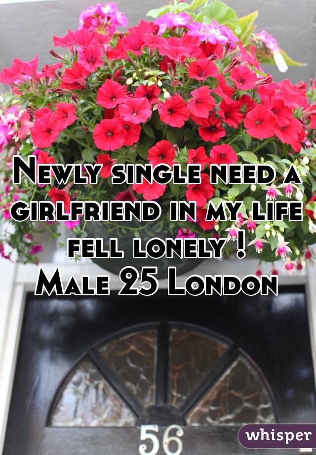 Newly single need a girlfriend in my life fell lonely !
Male 25 London 