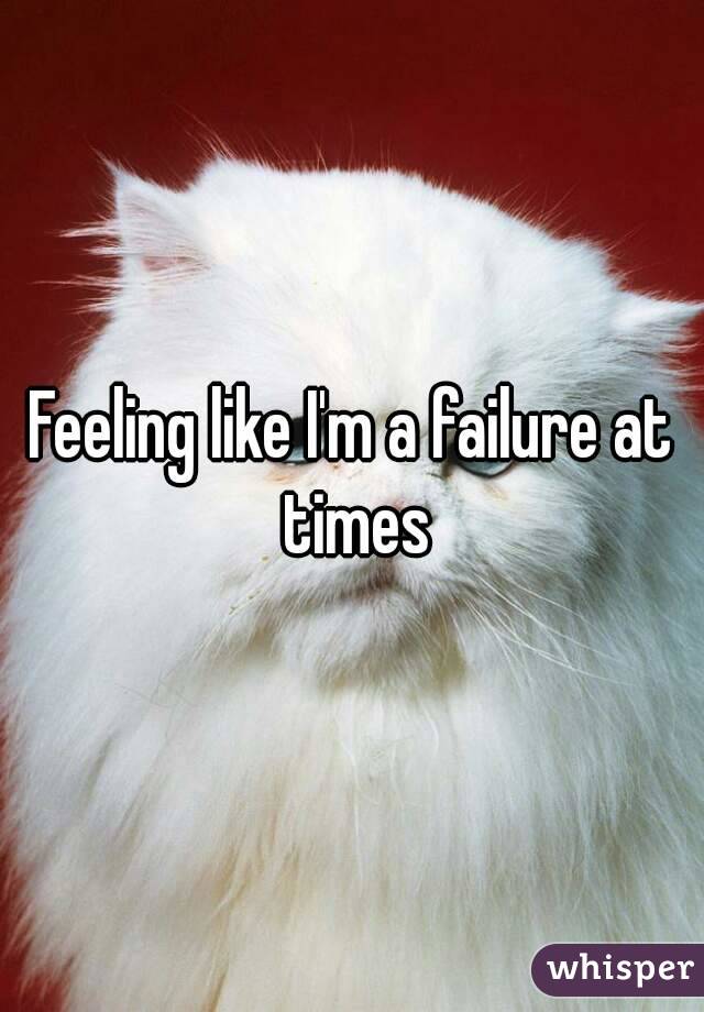 Feeling like I'm a failure at times